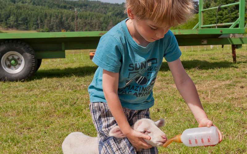 visites-a-la-ferme